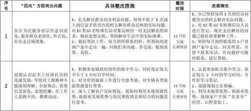 “政务服务”指标问题清单及整改措施