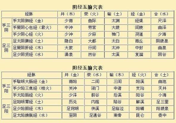 人的经络系统十二经脉的表里配对及各经脉的长度
