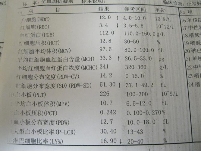 血常规能查出什么疾病。若4项指标升高，应该多注意