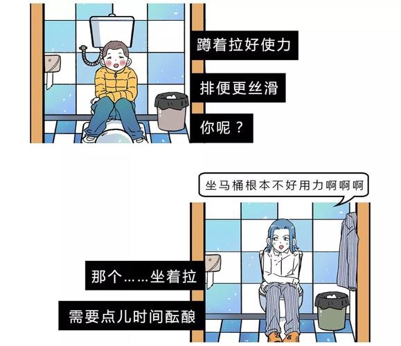 厕所维修,守护公共卫生的基石_对我国厕所维修事宜的详细讨论