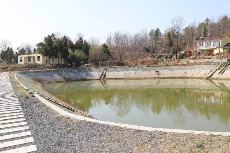 塘堰维修资金申请报告:筑牢水利安全防线,助力乡村振兴