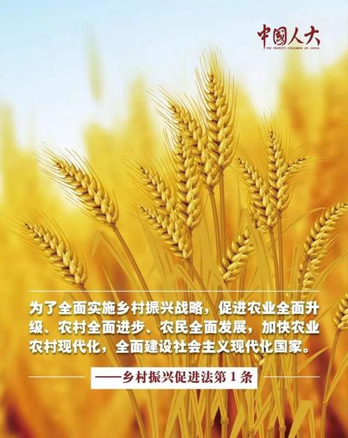 村级公路维修验收报告解读:提升农村出行品质,助力乡村振兴