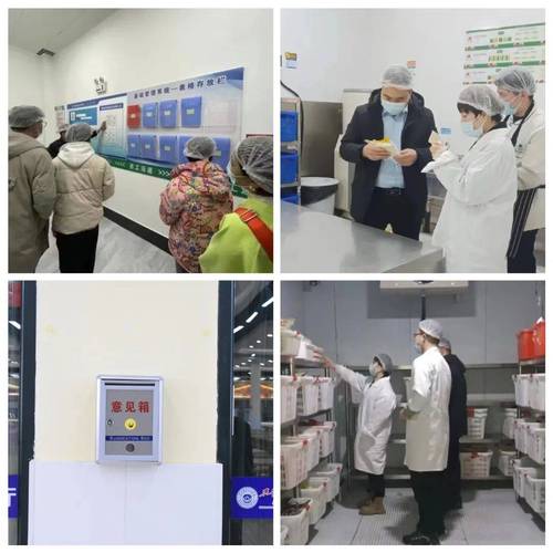 焚烧炉维修报告范文解读:技术革新与安全守护